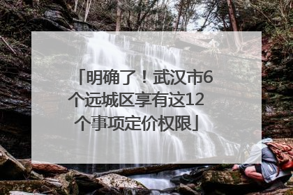 明确了！武汉市6个远城区享有这12个事项定价权限