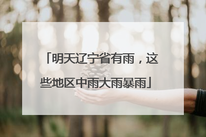 明天辽宁省有雨，这些地区中雨大雨暴雨