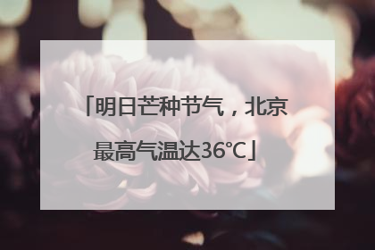明日芒种节气，北京最高气温达36℃