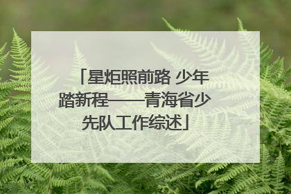 星炬照前路 少年踏新程——青海省少先队工作综述