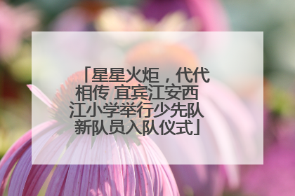 星星火炬，代代相传 宜宾江安西江小学举行少先队新队员入队仪式