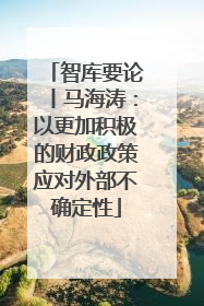智库要论丨马海涛：以更加积极的财政政策应对外部不确定性
