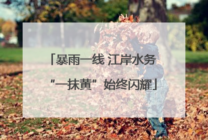 暴雨一线 江岸水务“一抹黄”始终闪耀