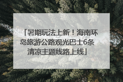 暑期玩法上新！海南环岛旅游公路观光巴士6条清凉主题线路上线