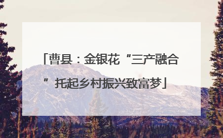 曹县：金银花“三产融合”托起乡村振兴致富梦