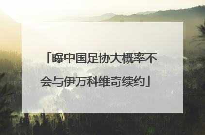 曝中国足协大概率不会与伊万科维奇续约