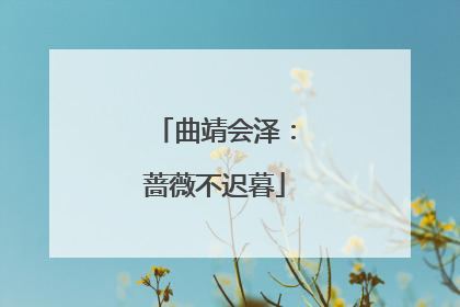 曲靖会泽：蔷薇不迟暮