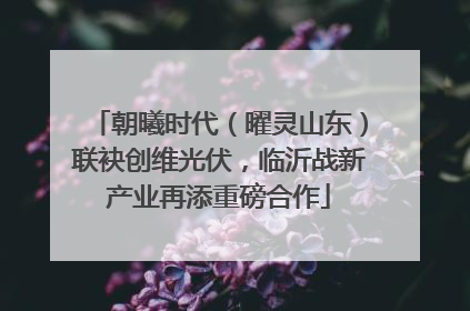 朝曦时代（曜灵山东）联袂创维光伏，临沂战新产业再添重磅合作