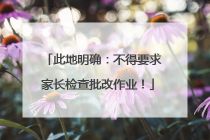 此地明确：不得要求家长检查批改作业！