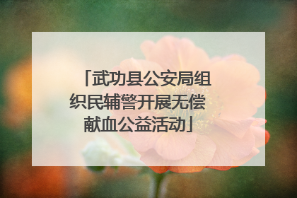 武功县公安局组织民辅警开展无偿献血公益活动