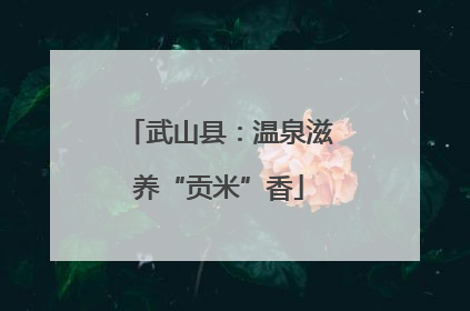 武山县：温泉滋养“贡米”香