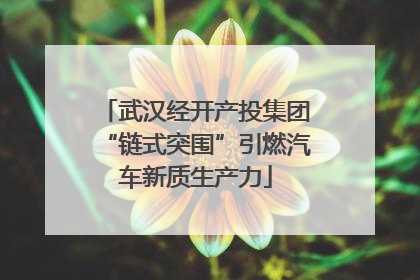 武汉经开产投集团“链式突围”引燃汽车新质生产力