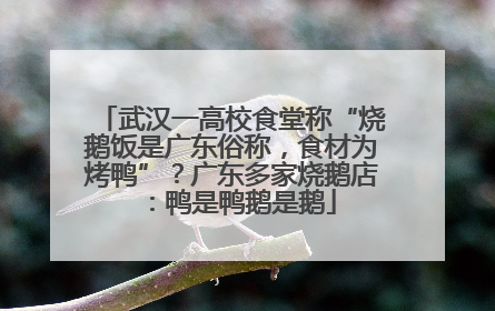 武汉一高校食堂称“烧鹅饭是广东俗称，食材为烤鸭”？广东多家烧鹅店：鸭是鸭鹅是鹅