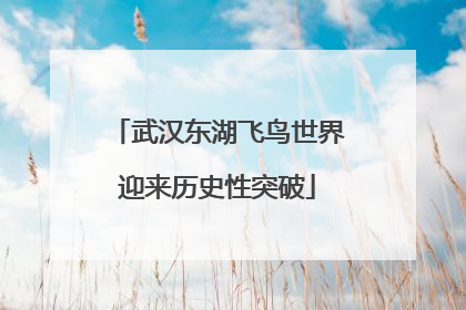 武汉东湖飞鸟世界迎来历史性突破