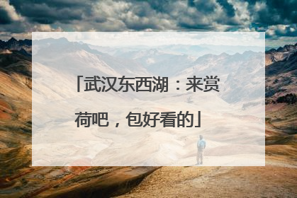 武汉东西湖：来赏荷吧，包好看的
