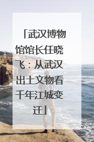 武汉博物馆馆长任晓飞：从武汉出土文物看千年江城变迁