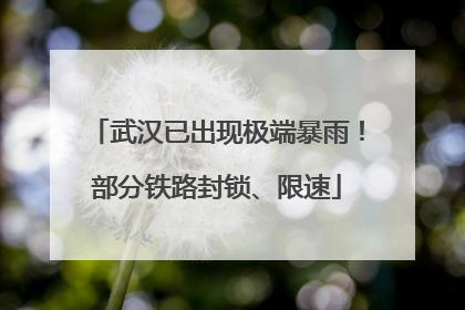 武汉已出现极端暴雨！部分铁路封锁、限速