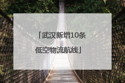 武汉新增10条低空物流航线