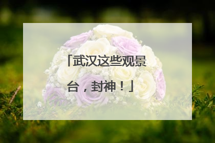 武汉这些观景台，封神！