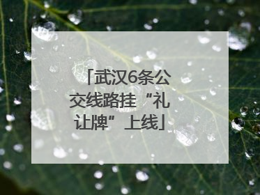 武汉6条公交线路挂“礼让牌”上线