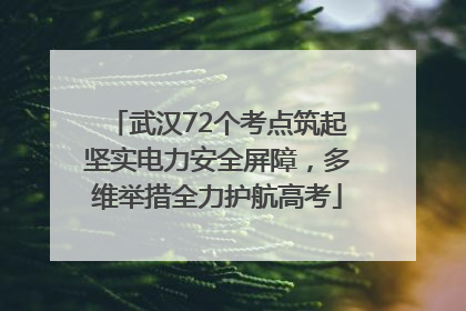 武汉72个考点筑起坚实电力安全屏障,多维举措全力护航高考