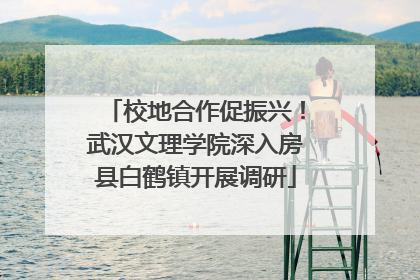 校地合作促振兴！武汉文理学院深入房县白鹤镇开展调研