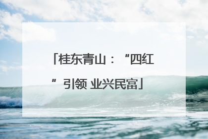桂东青山：“四红”引领 业兴民富