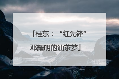 桂东：“红先锋”邓耀明的油茶梦
