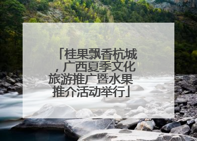 桂果飘香杭城，广西夏季文化旅游推广暨水果推介活动举行