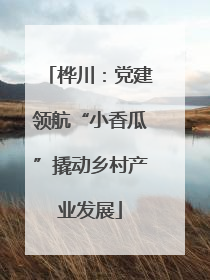 桦川：党建领航“小香瓜”撬动乡村产业发展
