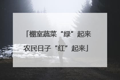 棚室蔬菜“绿”起来 农民日子“红”起来