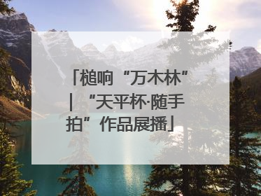 槌响“万木林”｜“天平杯·随手拍”作品展播