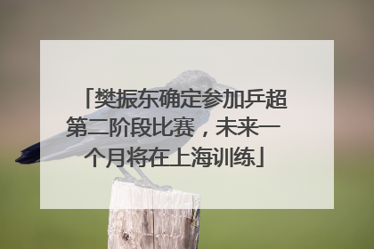 樊振东确定参加乒超第二阶段比赛，未来一个月将在上海训练