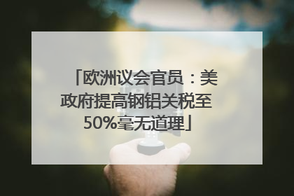 欧洲议会官员：美政府提高钢铝关税至50%毫无道理