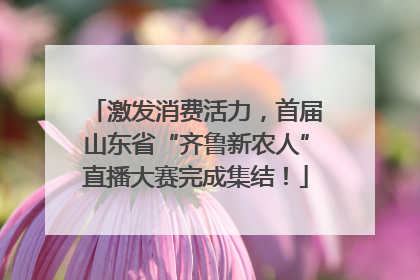 激发消费活力，首届山东省“齐鲁新农人”直播大赛完成集结！