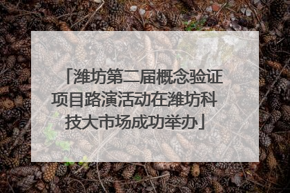 潍坊第二届概念验证项目路演活动在潍坊科技大市场成功举办