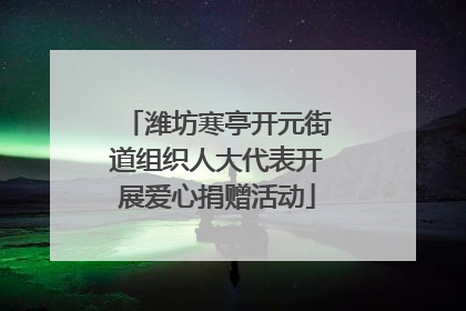 潍坊寒亭开元街道组织人大代表开展爱心捐赠活动