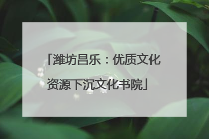 潍坊昌乐：优质文化资源下沉文化书院