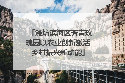 潍坊滨海区芳青玫瑰园以农业创新激活乡村振兴新动能