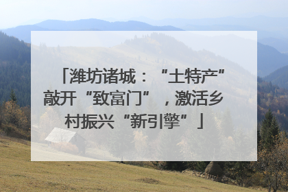 潍坊诸城：“土特产”敲开“致富门”，激活乡村振兴“新引擎”
