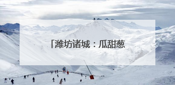 潍坊诸城：瓜甜葱郁处 产业好风光