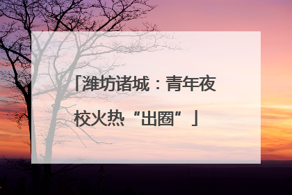 潍坊诸城：青年夜校火热“出圈”