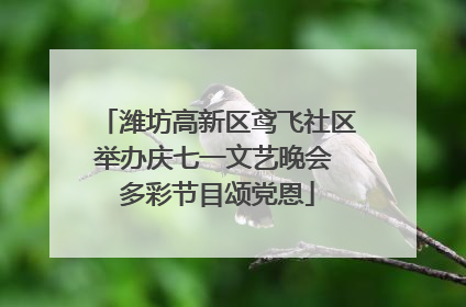 潍坊高新区鸢飞社区举办庆七一文艺晚会 多彩节目颂党恩