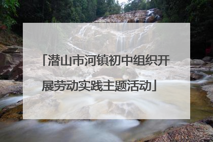 潜山市河镇初中组织开展劳动实践主题活动