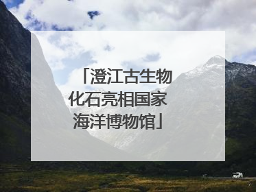 澄江古生物化石亮相国家海洋博物馆