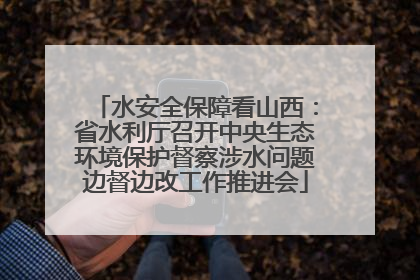 水安全保障看山西：省水利厅召开中央生态环境保护督察涉水问题边督边改工作推进会