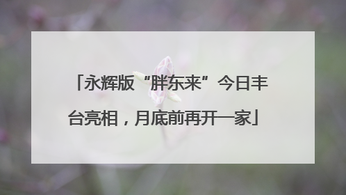 永辉版“胖东来”今日丰台亮相，月底前再开一家