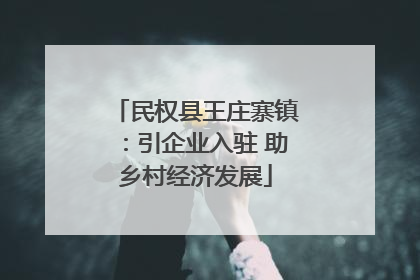 民权县王庄寨镇：引企业入驻 助乡村经济发展