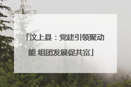 汶上县:党建引领聚动能 组团发展促共富