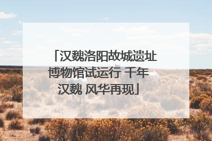 汉魏洛阳故城遗址博物馆试运行 千年汉魏 风华再现